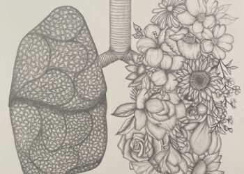 Discovering the Art of Healing