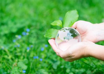 Quality of Life and Quantity of Life In Patient Care